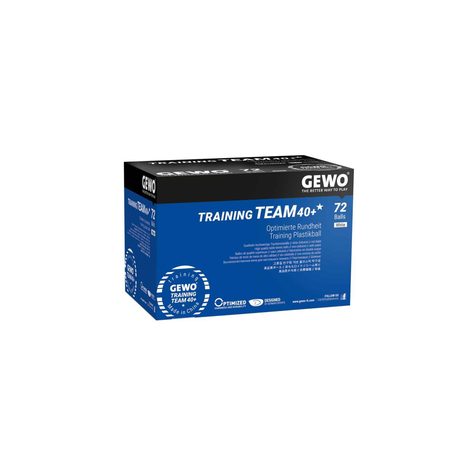 GEWO - Training 1* GEWO - Training 1*